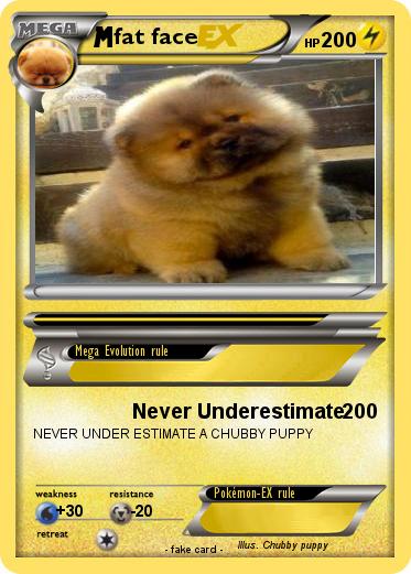 Pokemon fat face