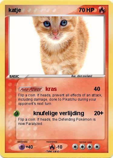 Pokemon katje