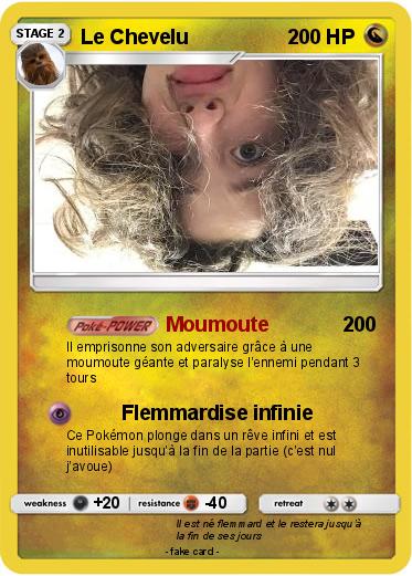 Pokemon Le Chevelu