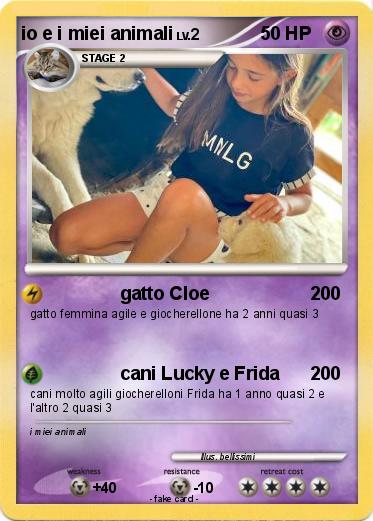Pokemon io e i miei animali