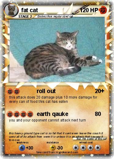 Pokemon fat cat