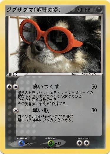 Pokemon ジグザグマ(飯野の姿）