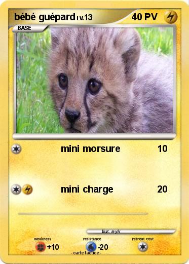 Pokemon bébé guépard