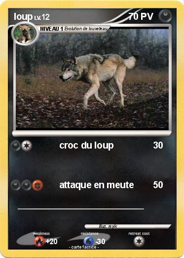Pokemon loup