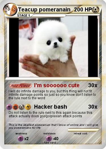 Pokemon Teacup pomeranain