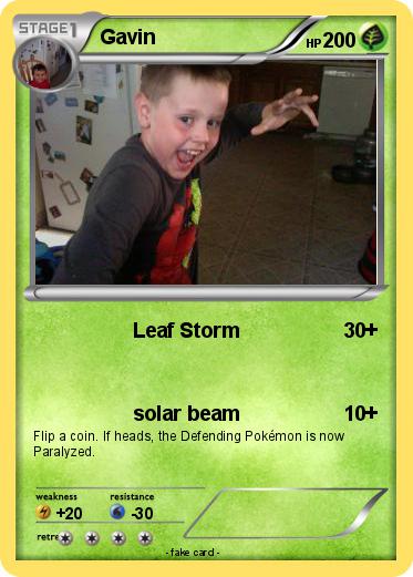 Pokemon Gavin