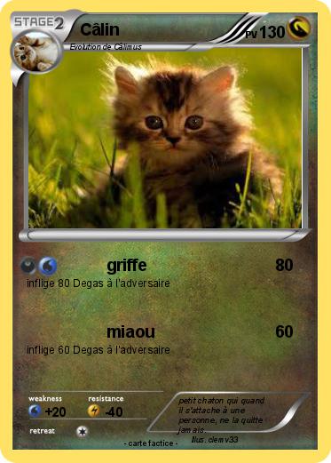 Pokemon Câlin