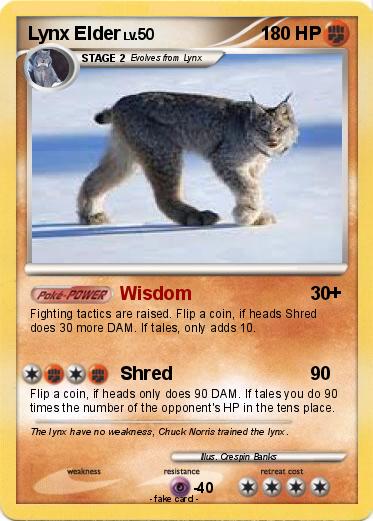 Pokemon Lynx Elder