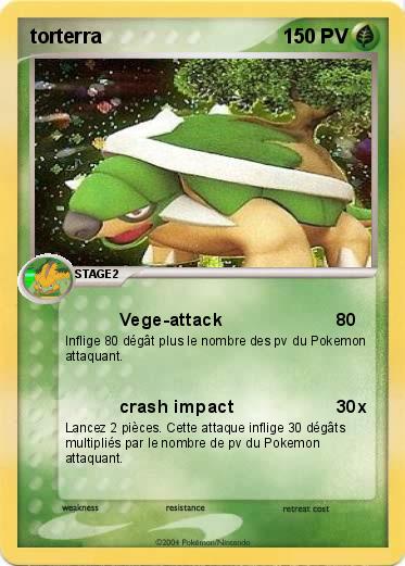 Pokemon torterra