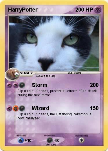Pokemon HarryPotter