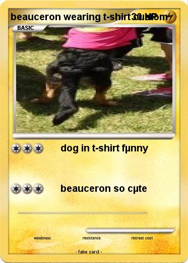 Pokemon beauceron wearing t-shirt custom