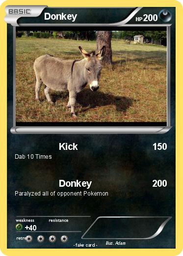 Pokemon Donkey
