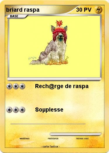 Pokemon briard raspa