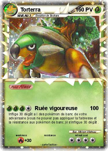 Pokemon Torterra