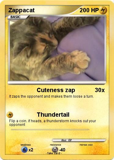 Pokemon Zappacat