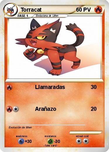 Pokemon Torracat