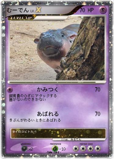 Pokemon むーでん