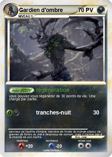Pokemon Gardien d'ombre