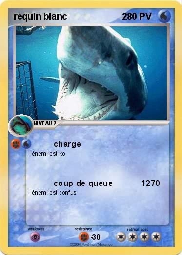 Pokemon requin blanc                      2