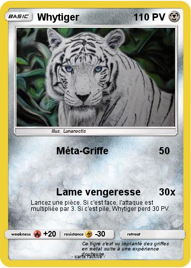 Pokemon Whytiger