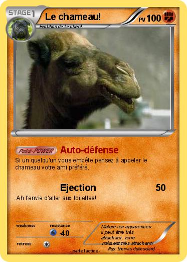Pokemon Le chameau!