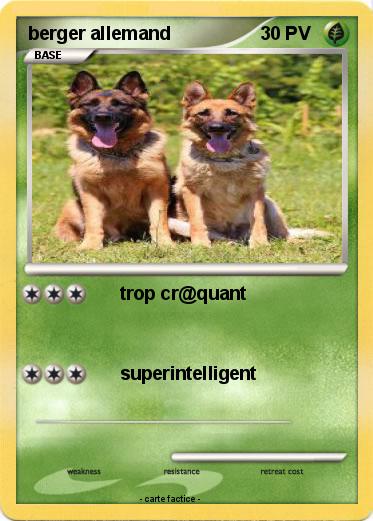 Pokemon berger allemand
