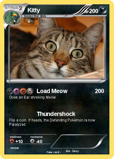 Pokemon Kitty
