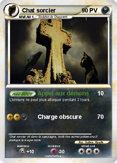 Pokemon Chat sorcier