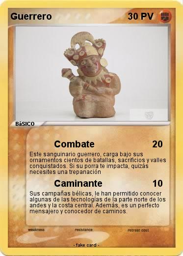 Pokemon Guerrero