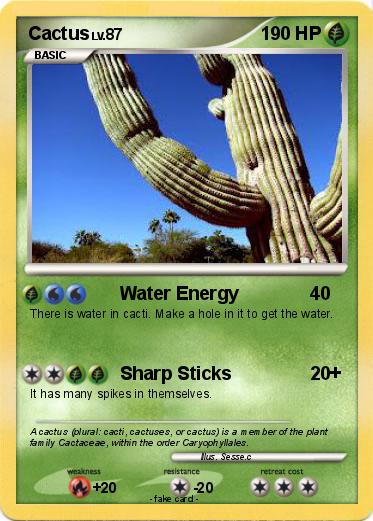 Pokemon Cactus