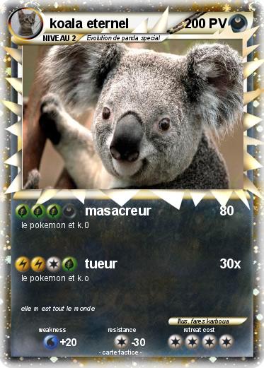 Pokemon koala eternel