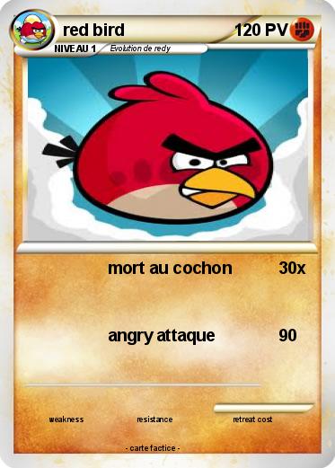 Pokemon red bird