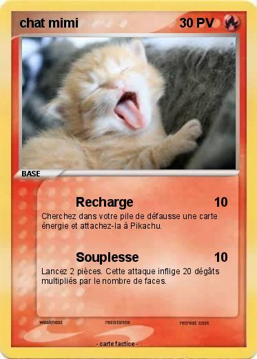 Pokemon chat mimi