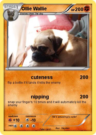 Pokemon Ollie Wallie