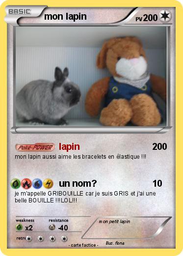 Pokemon mon lapin