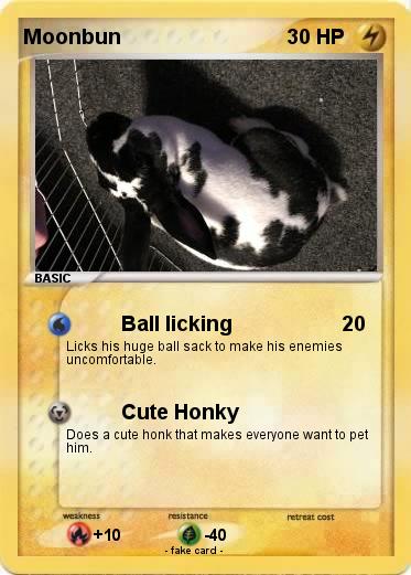 Pokemon Moonbun