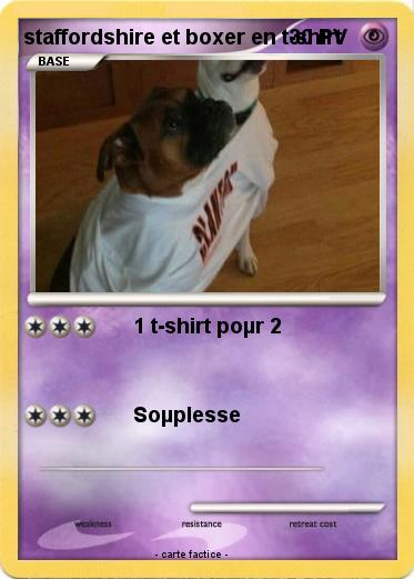 Pokemon staffordshire et boxer en t-shirt