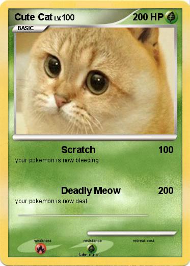 Pokemon Cute Cat
