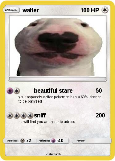 Pokemon walter