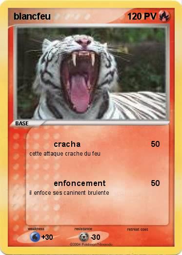 Pokemon blancfeu