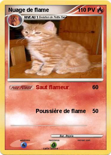Pokemon Nuage de flame