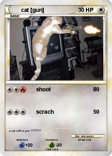 Pokemon cat [gun]