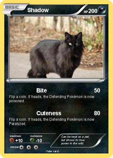Pokemon Shadow