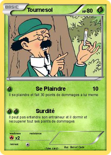 Pokemon Tournesol