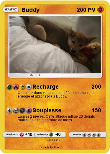 Pokemon Buddy