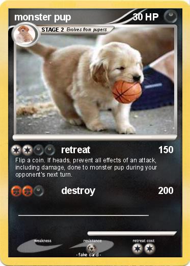Pokemon monster pup