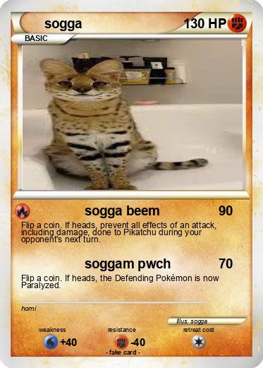 Pokemon sogga