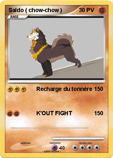 Pokemon Saldo ( chow-chow )