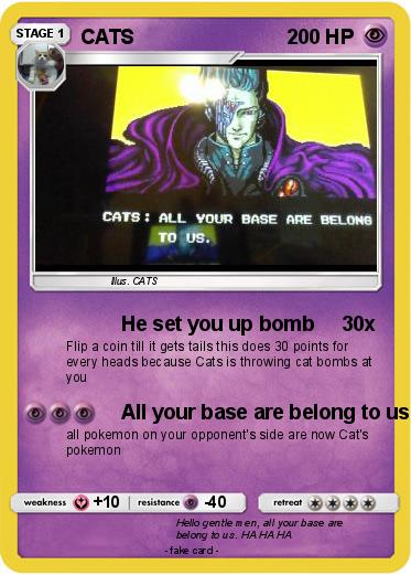 Pokemon CATS