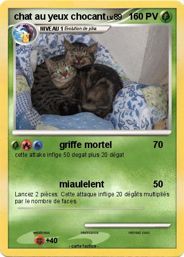 Pokemon chat au yeux chocant